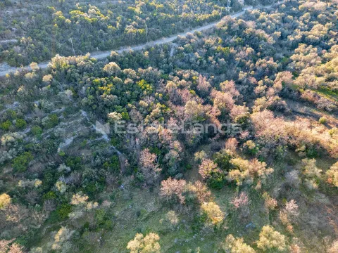 Prodaja, plac, 1850m², Zabrđe, Herceg Novi - image 4
