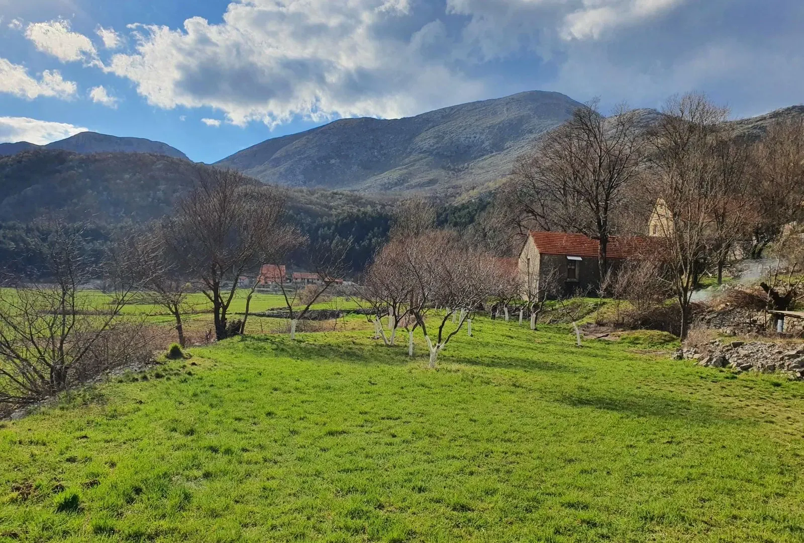 Prodaja, plac, 4984m², Njeguši, Cetinje