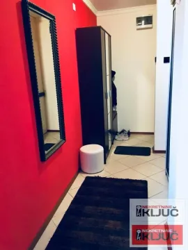 Izdavanje, jednosoban stan, 34m², Liman 3, Novi Sad Sve Podlokacije - image 2