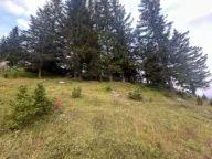 Prodaja, plac, 1330m², Žabljak, Crna Gora - image 5