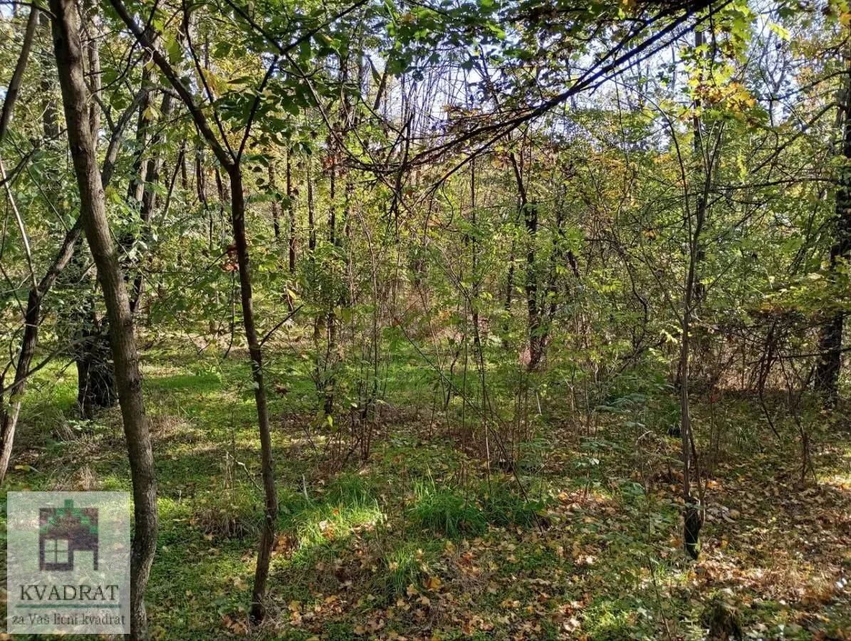 Prodaja, plac, 3800m², Obrenovac, Beograd