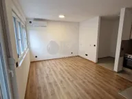 Izdavanje, dvosoban stan, 55m², Vojvode Vlahovica, Beograd - image 1