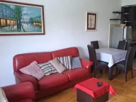 Izdavanje, jednosoban stan, 46m², Preko Morače, Podgorica - image 9