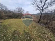 Prodaja, plac, 1969m², Beri, Podgorica - image 5