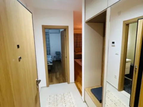 Izdavanje, jednosoban stan, 46m², New City, Podgorica - image 4