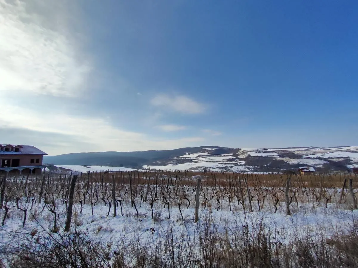Prodaja, plac, 300m², Beočin, Srbija