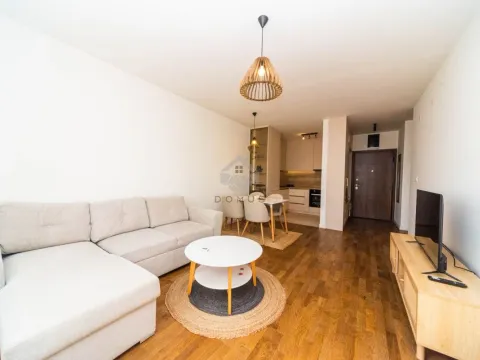 Izdavanje, jednosoban stan, 45m², Stari Aerodrom, Podgorica - image 4