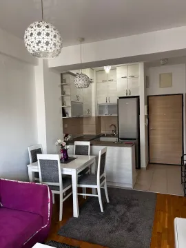 Rent, one bedroom apartment, 59m², Central Point, Podgorica - image 720