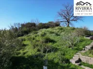 Prodaja, plac, 1114m², Centar, Herceg Novi - image 5