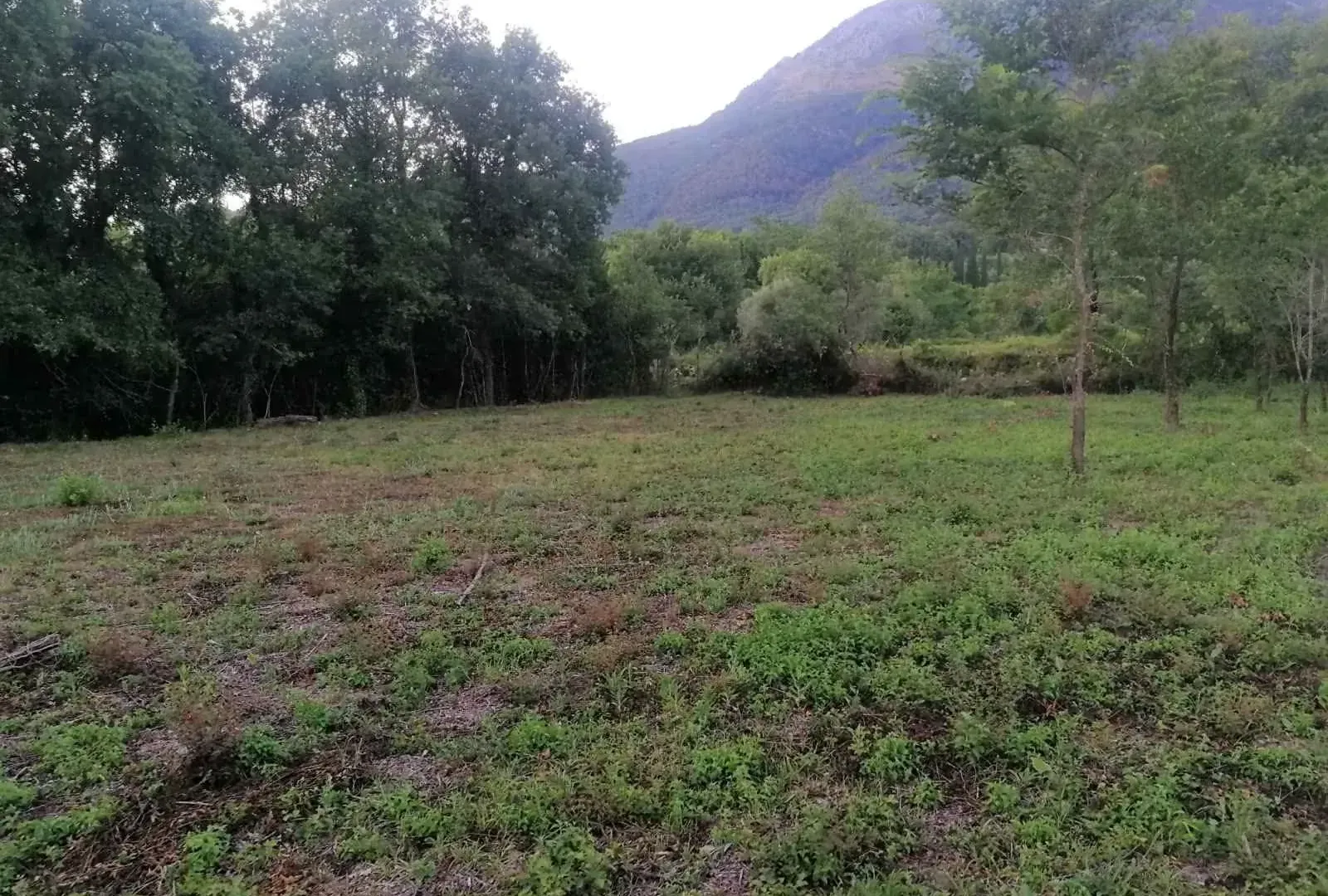 Prodaja, plac, 5181m², Kotor, Crna Gora