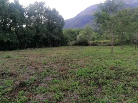 Prodaja, plac, 5181m², Kotor, Crna Gora