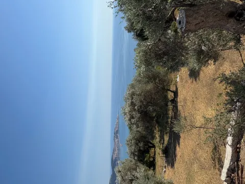 Prodaja, kuća, 225m², Zeleni Pojas, Bar - image 7