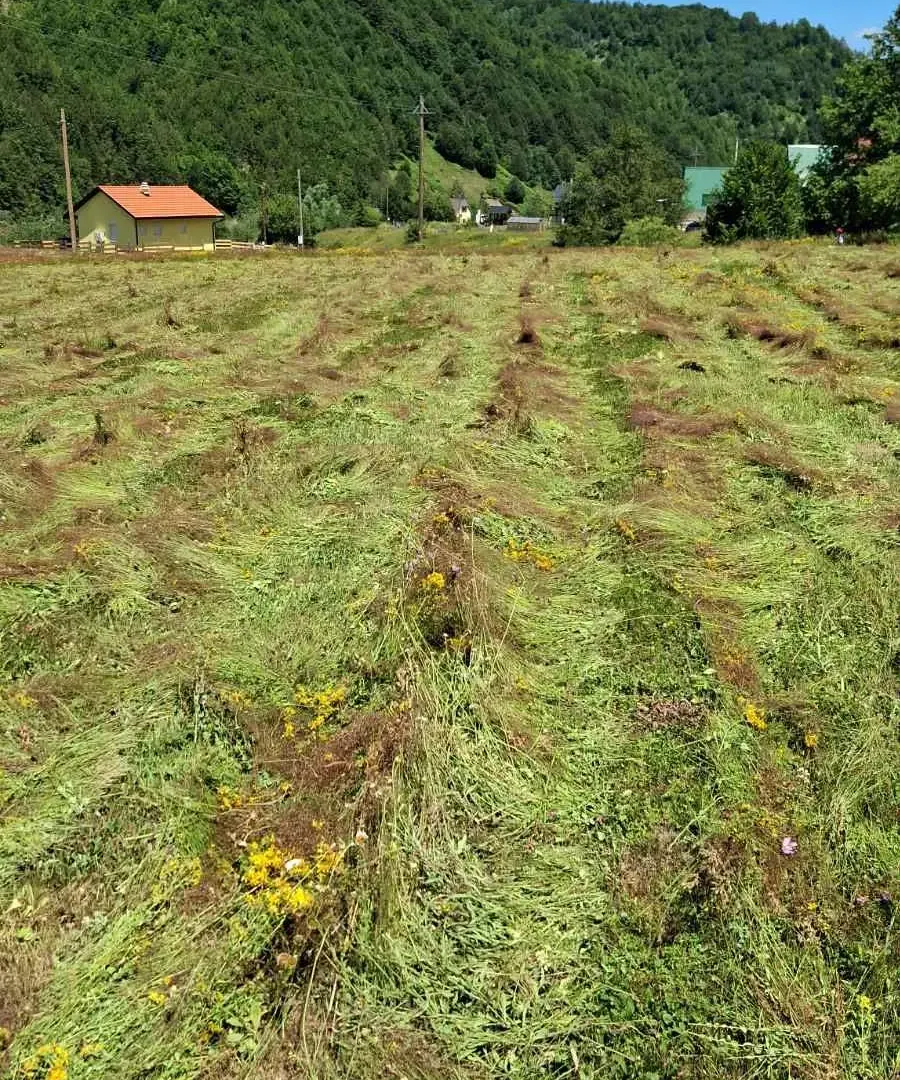 Prodaja, plac, 7000m², Veruša, Podgorica