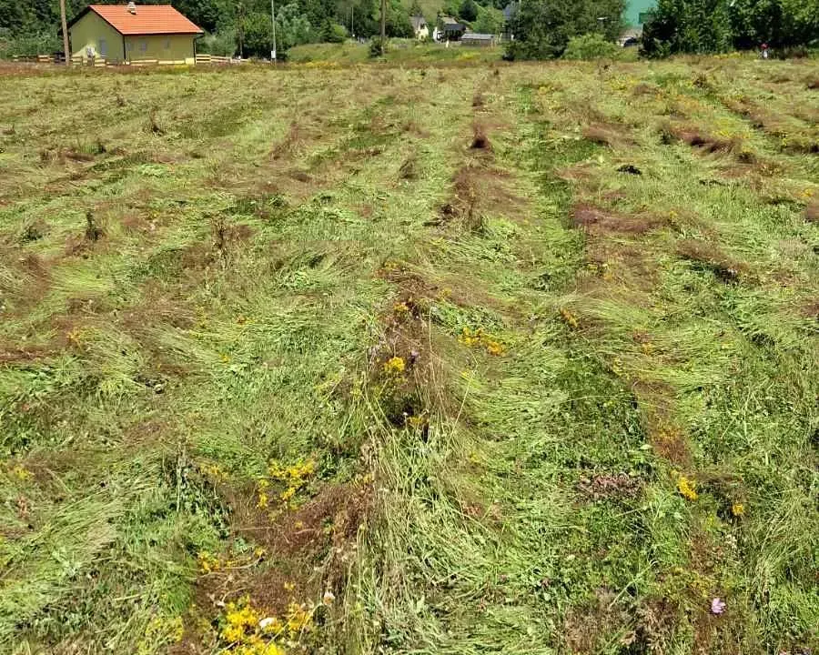 Sale, land lot, 7000m², Veruša, Podgorica