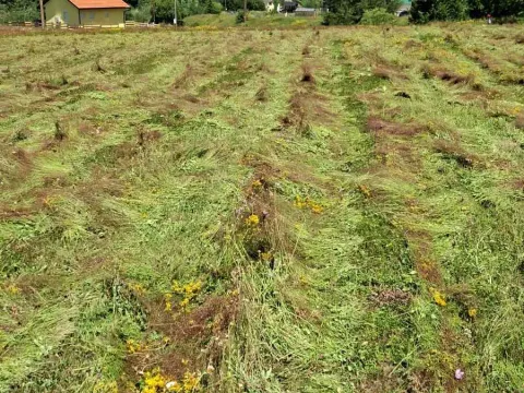 Zemljište in Veruša
