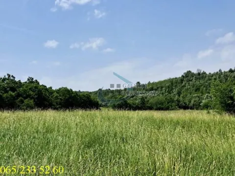 Pogled na zeleni travnjak i šumu u prirodi. - image 21