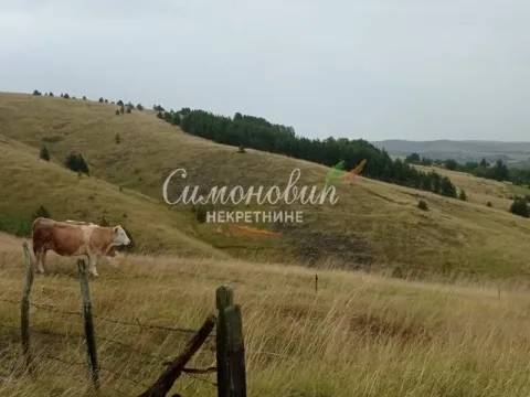 Sale, land lot, 10000m², Divčibare, Valjevo - image 12