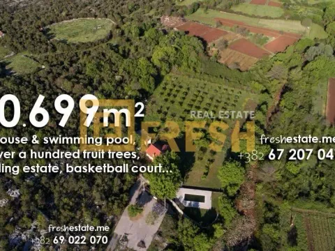 Prodaja, kuća, 10699m², Ostalo, Podgorica - image 4