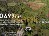 Sale, house, 10699m², Ostalo, Podgorica - image 4