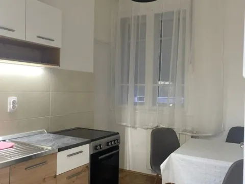 Izdavanje, jednosoban stan, 37m², Vračar Hram, Vračar Sve Podlokacije - image 3