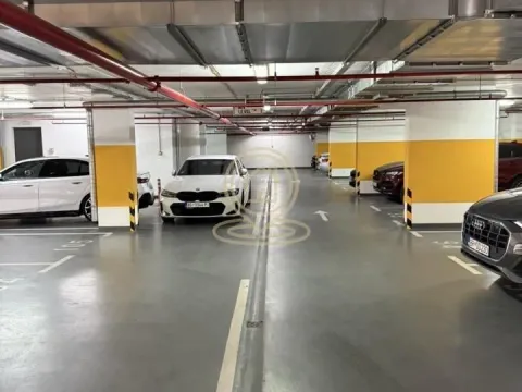 Izdavanje, dvosoban stan, 55m², Južni Bulevar, Vračar Sve Podlokacije - image 11