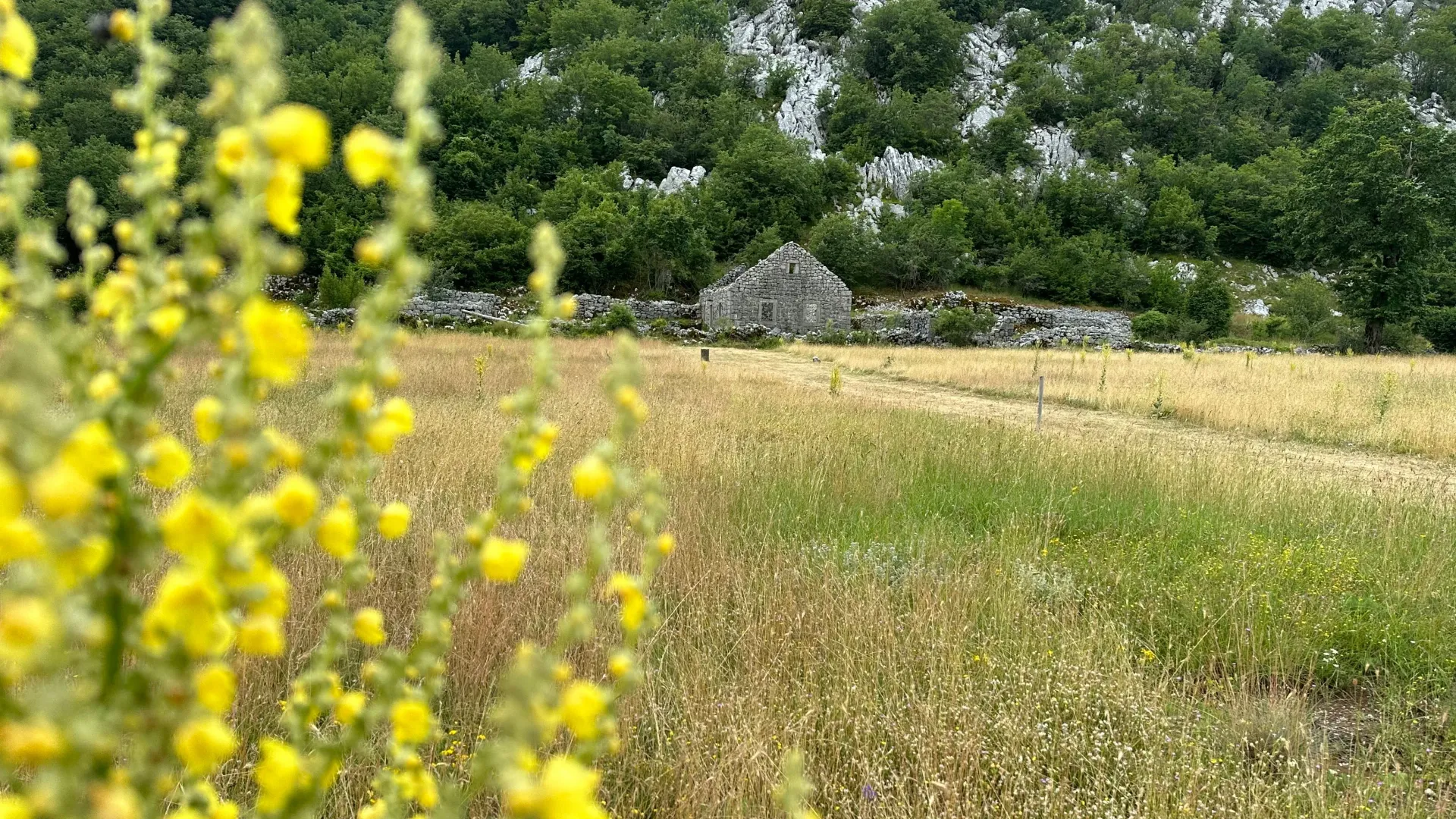 Prodaja, plac, 12000m², Grahovo, Nikšić