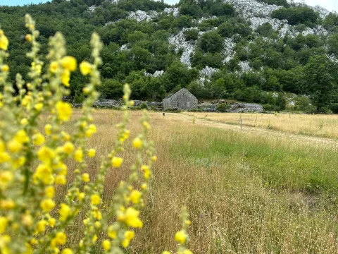 Prodaja, plac, 12000m², Grahovo, Nikšić - image 2