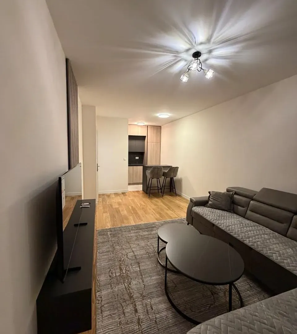 Rent, one bedroom apartment, 47m², Central Point, Podgorica