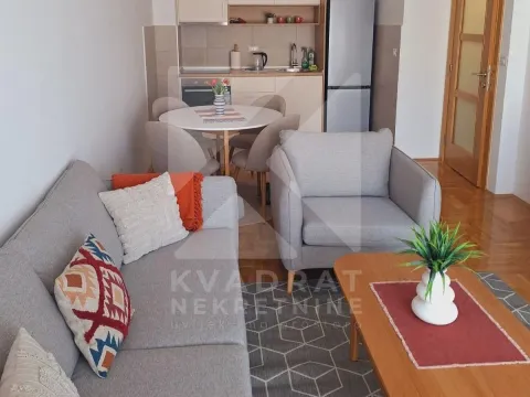 Rent, one bedroom apartment, 45m², Stari Aerodrom, Podgorica - image 3