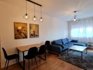 Rent, one bedroom apartment, 51m², Central Point, Podgorica - image 3