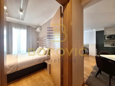 Rent, three bedroom apartment, 74m², Vračar Hram, Vračar Sve Podlokacije - image 9