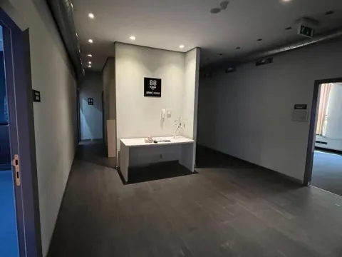 Izdavanje, poslovni prostor, 201m², Botanička Bašta, Palilula Sve Podlokacije - image 6