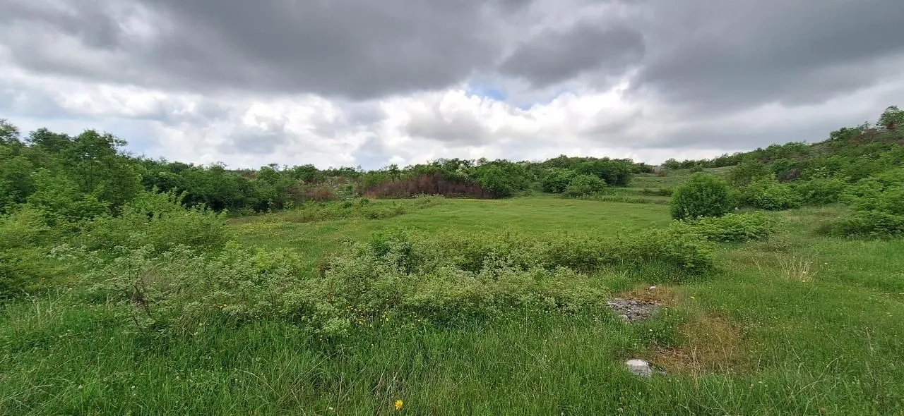Prodaja, plac, 12650m², Gorica C, Podgorica