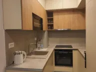 Rent, one bedroom apartment, 46m², Stari Aerodrom, Podgorica - image 4