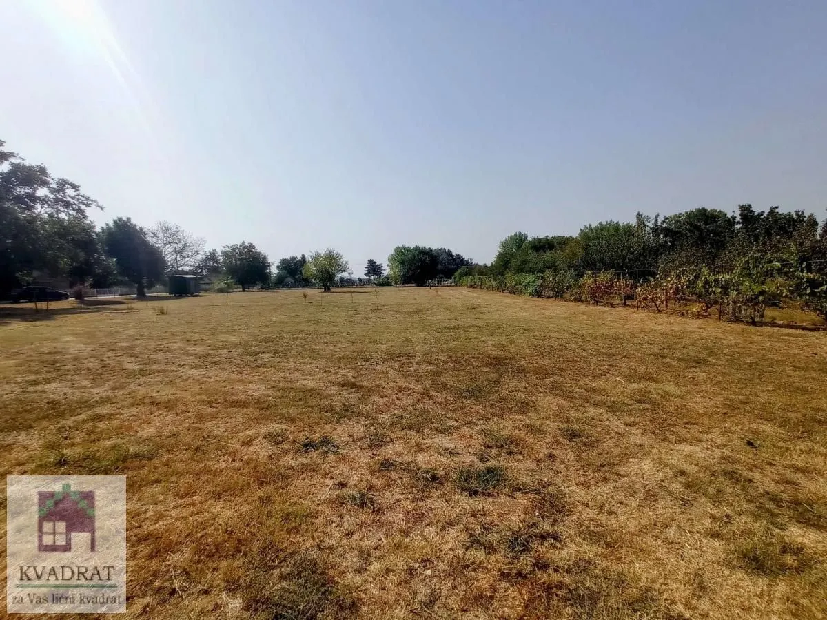 Sale, land lot, 3900m², Zabrežje, Obrenovac