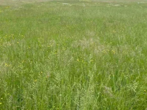 Prodaja,  zemljište, 20000m2, Bandići, Danilovgrad