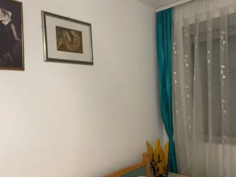 Izdavanje, jednosoban stan, 500m², Zabjelo, Podgorica - image 4