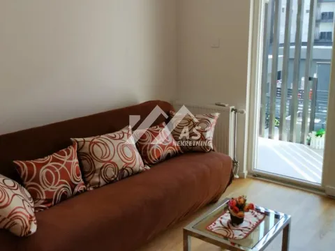 Izdavanje, dvosoban stan, 41m², Novi Sad Sve Podlokacije, Novi Sad - image 3