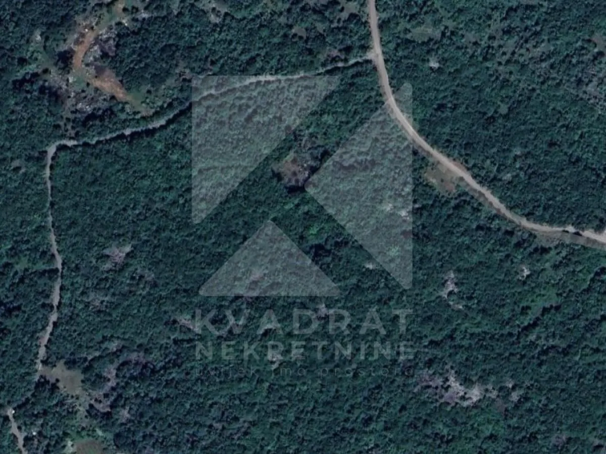 Prodaja, plac, 1000m², Bandići, Danilovgrad