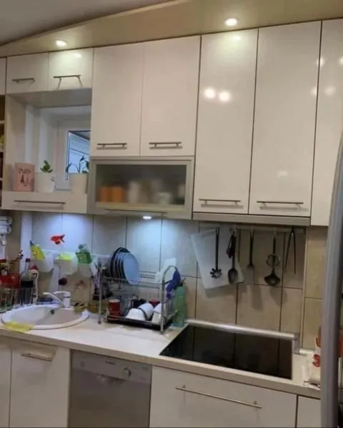 Izdavanje, četvorosoban stan, 100m², Vračar Sve Podlokacije, Beograd