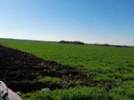 Prodaja, plac, 240m², Šimanovci, Pećinci - image 2