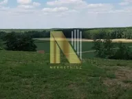 Prodaja, plac, 23m², Beočin, Srbija - image 2