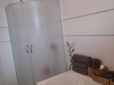 Prodaja, kuća, 260m², Centar, Jagodina - image 9