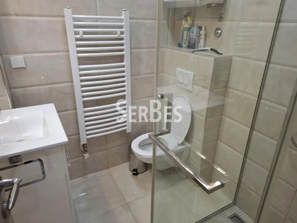 Izdavanje, dvosoban stan, 50m², Spens, Novi Sad Sve Podlokacije