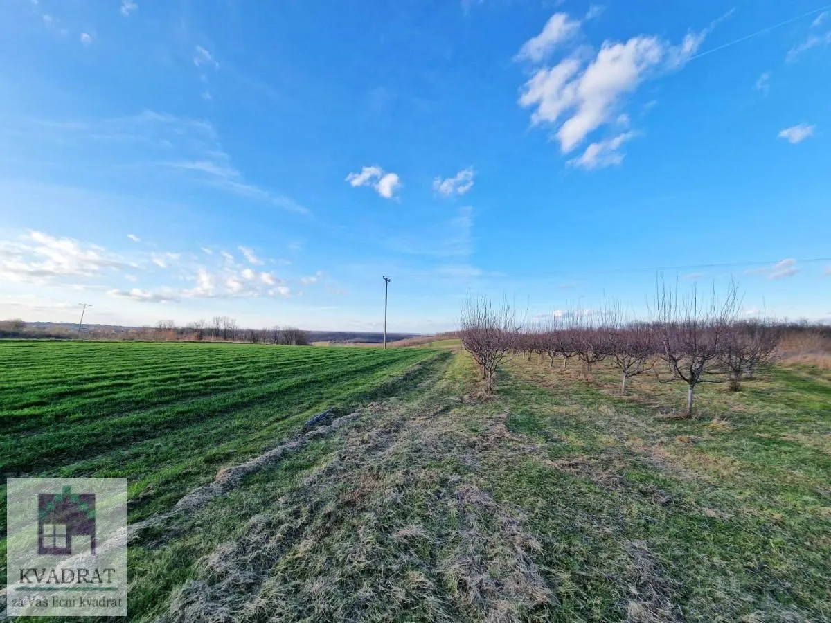 Prodaja, plac, 38000m², Kožuar, Ub