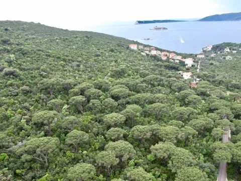 Prodaja, plac, 1046m², Herceg Novi, Crna Gora - image 9