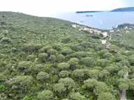 Prodaja, plac, 1046m², Herceg Novi, Crna Gora - image 9