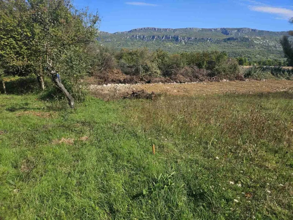 Prodaja, plac, 12000m², Martinići, Danilovgrad
