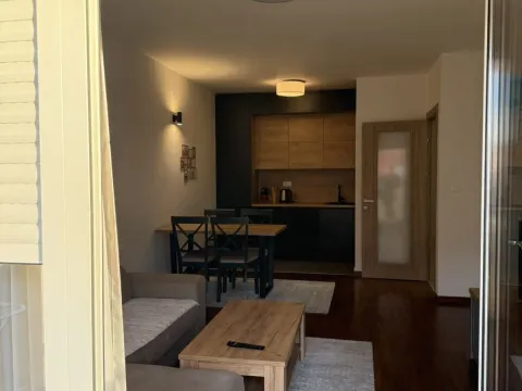 Izdavanje, jednosoban stan, 50m², Master Kvart, Podgorica - image 11