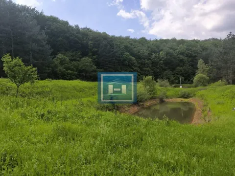 Prodaja, kuća, 300m², Senje, Ćuprija - image 2